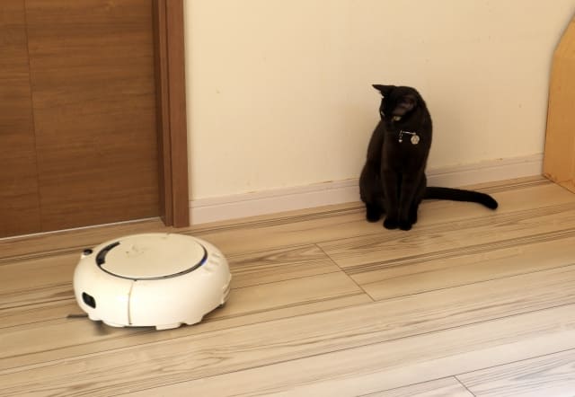 ルンバ、ペットがいてもOK